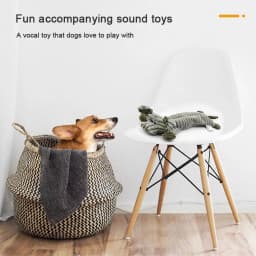 Pack of 3 Squeaky Dog Toys Indestructible for Large Dogs, Tough Soft Dog Toys Bundle for 8 Weeks Puppy and Small Dogs, Durable Dog Toys, No Stuffing - Thumbnail 8