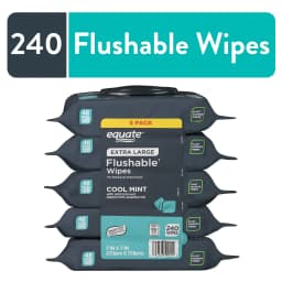 Equate Extra Large Flushable Wet Wipes, Mint, 240 Wipes (5 Pack) - Thumbnail 1
