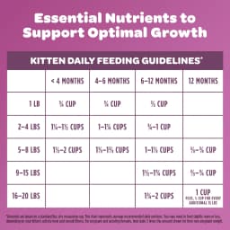 9Lives Kitten Essentials Chicken & Ocean Fish Dry Cat Food, 2.5lb Bag - Thumbnail 4