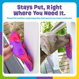 Brightkins Pup Cone Lick Mat, Enrichment and Interactive Dog Toys - Thumbnail 6