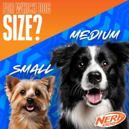 Nerf Dog Toys Squeaky Tennis Ball Dog Toy, 2 inch, 3 Pack - Thumbnail 4