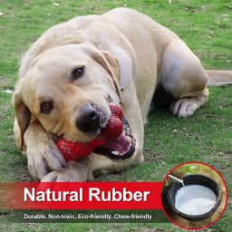 Dog Toys for Aggressive Chewers Bone Dog Toy Interactive Dog Toys for Large Dog Chew Toys for Aggressive Chewers,Dinosam Indestructible Dog Toy - Thumbnail 6
