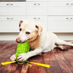 URRU Dog Toy for Aggressive Chewers, Indestructible Dog Chew Toys Squeaky , Interactive Tough Durable for Large Breed(Green,Large) - Thumbnail 7