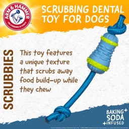 Arm & Hammer Scrubbies Throw N' Tug Adult Dental Dog Chew Toy Small - Thumbnail 3