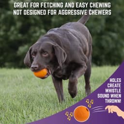 Chew King By Mammoth 3 Inch Bacon Flavor Rubber Balls - Thumbnail 4