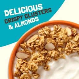 Bear Naked Fit Vanilla Almond Crisp Granola, 5g Protein, Fiber Bag, 12 oz - Thumbnail 3