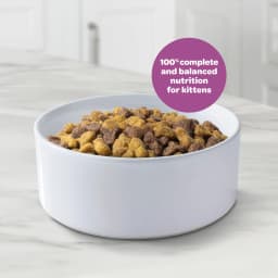9Lives Kitten Essentials Chicken & Ocean Fish Dry Cat Food, 2.5lb Bag - Thumbnail 2