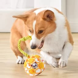 Partheme Novelty Toys Squeaky Dog Toy, 6" Wear-Resistant Fabric Chew Fish Toy, Teething Relief Self-Play Pet Toys for Interactive Play, Boredom - Thumbnail 1