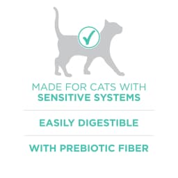 Purina ONE Plus, Sensitive Skin & Stomach, Dry Cat Food, Turkey, 16 lb Bag - Thumbnail 5