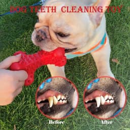 Valr Dog Chew Toys for Aggressive Chewers Large Breed,Rubber Dog Bones - Thumbnail 3