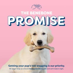 Benebone Essentials Puppy 2-pack Rubber Bone/Wishbone Bacon Tiny - Thumbnail 8