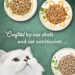 Fancy Feast Wet Cat Food Variety Pack, Medleys White Meat Chicken in Sauce Collection, 3 oz. Can - Thumbnail 5