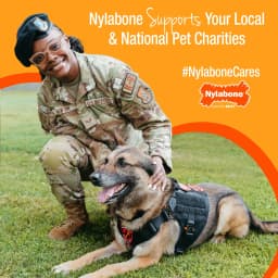 Nylabone Power Chew Original Bone Dog Toy, Dog Chew Toy, Chicken Flavor, X-Small, 1 Count - Thumbnail 10