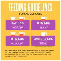 Tiki Cat Born Carnivore Indoor Health Dry Cat Food, Chicken & Turkey Meal, 3 lbs. Bag - Thumbnail 7