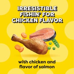 Temptations Dry Cat Food Indoor, Fishin’ For Chicken Flavor, 13.5 Lb Bag - Thumbnail 4