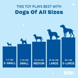 BARK Dingbert the Dragon Plush Dog Toy - Thumbnail 4