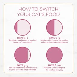 Purina Fancy Feast Dry Cat Food Filet Mignon Flavor with Seafood and Shrimp, 3 lb Bag - Thumbnail 11