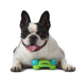 Arm & Hammer Nubbies Duality Bone Durable Dental Dog Chew Toy - Thumbnail 8