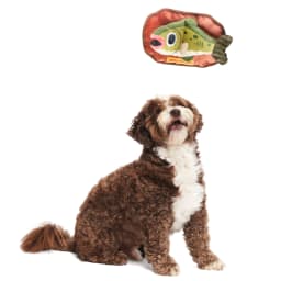 BARK Singing Bass Big Squeak Plush Dog Toy, for Small and Medium Dogs - Thumbnail 4