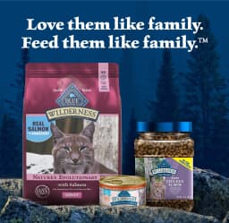 Blue Buffalo Wilderness Natural High Protein Dry Food for Adult Cats, Salmon, 4-lb Bag - Thumbnail 9