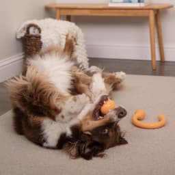 goDog Looper Puzzle Dog Toy, Orange, One Size - Thumbnail 8