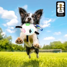 FIFA World Cup 2026 Pet Powergrip Soccer Ball Toy with Tethers for Dogs - Thumbnail 2