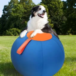 Difdany 3.0 Upgrade Herding Ball for Dogs – Enhanced Chew Resistance & Heavy-Duty Material, Dog Toy Agility Equipment for Australian Shepherds - Thumbnail 2