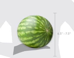 Fresh Mini Seedless Watermelon, Each - Thumbnail 5
