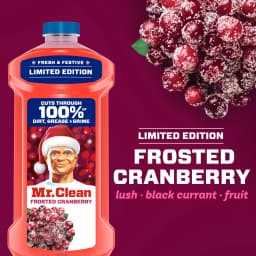 Mr. Clean All Purpose Cleaner, Floor Cleaner, Mop Soap, Cleaning Liquid, Frosted Cranberry, 41 fl oz - Thumbnail 4