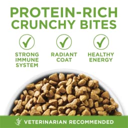Purina ONE Plus, Indoor Advantage, Dry Cat Food, Turkey, 7 lb Bag, 4 Pack - Thumbnail 3