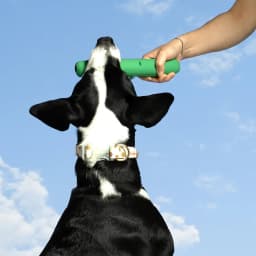 Oodles Durable Rubber Green Animal Fetch Dog Toy, O/S - Thumbnail 8
