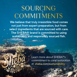 Sheba Wet Cat Food Pate, Tender Whitefish & Tuna Entree, 2.6 oz Perfect Portions Twin Pack Tray - Thumbnail 12