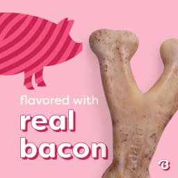 Benebone Essentials Puppy 2-pack Rubber Bone/Wishbone Bacon Tiny - Thumbnail 4
