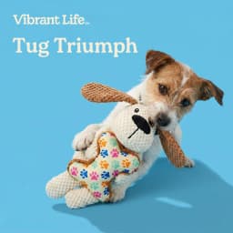 Vibrant Life Brown Dog with Bone Plush Dog Toy with Squeaker, Chew Level 4 - Thumbnail 4