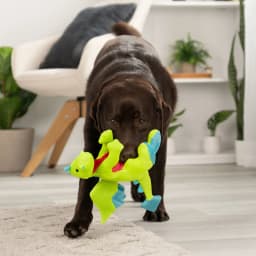 goDog Dragons Squeaky Plush Dog Toy with Double Chew Guard Technology, Durable Fabric & Squeaker for Active Play, Green, Large - Thumbnail 8