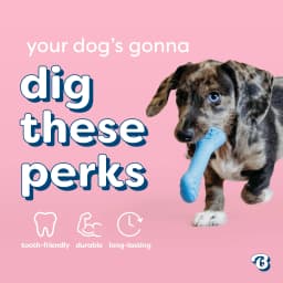 Benebone Essentials Puppy 2-pack Rubber Bone/Wishbone Bacon Tiny - Thumbnail 6