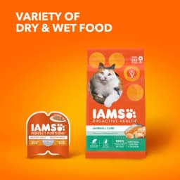 Iams Proactive Health Chicken And Salmon Dry Cat Food, 7 Lb Bag - Thumbnail 8