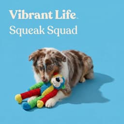 Vibrant Life Multicolor Monkey Plush Dog Toy with Squeakers, Chew Level 1 - Thumbnail 4