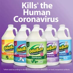 OdoBan Disinfectant Cleaner and Odor Eliminator Concentrate, Original Eucalyptus Scent, 1 gal - Thumbnail 8