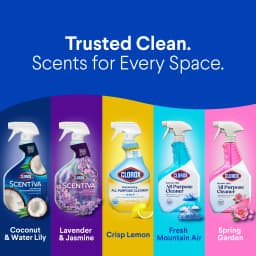 Clorox Bleach-Free All Purpose Cleaner, Spring Garden, 32 fl oz - Thumbnail 7