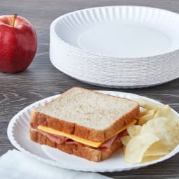 Great Value Uncoated Paper Plates, 9 in, 300 Count - Thumbnail 4