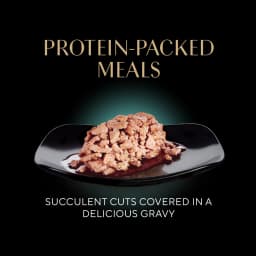 Sheba Wet Cat Food Cuts In Gravy Variety Pack, Gourmet Salmon, Signature Tuna, And Delicate White Fish & Tuna Entrées, (24) 2.6 Oz. Perfect Portions Twin Pack Trays - Thumbnail 6