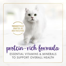 Purina Fancy Feast Gravy Lovers Wet Cat Food, Chicken & Beef in Gravy, 3 oz Can - Thumbnail 3