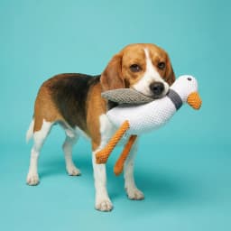 Vibrant Life White Seagull Plush Dog Toy with Squeaker, Chew Level 4 - Thumbnail 2