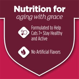 Purina Cat Chow Healthy Aging 7+ Senior Dry Cat Food, Chicken, 3.15 lb. Bag - Thumbnail 9