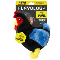 Playology Dog Toys | Interactive Stuffed Animal Hen, Chicken Scented Plush Toy, Medium - Thumbnail 1