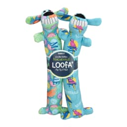 Multipet Margaritaville Summer Loofa Dog, Plush Dog Toy, 2 pack with Tropical Patterns - Thumbnail 1