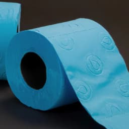 Renova Blue Toilet Paper, 48 Rolls, 140 Sheets Per Roll - Thumbnail 5
