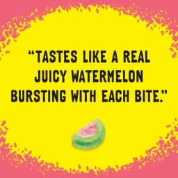 SOUR PATCH KIDS Watermelon Soft & Chewy Gummy Candy, 3.5 oz - Thumbnail 10