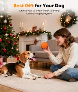 Petbobi Automatic Interactive Dog Ball, Durable E-TPU Rechargeable Rolling Bouncing Toy for Small Medium Dogs, Orange - Thumbnail 2